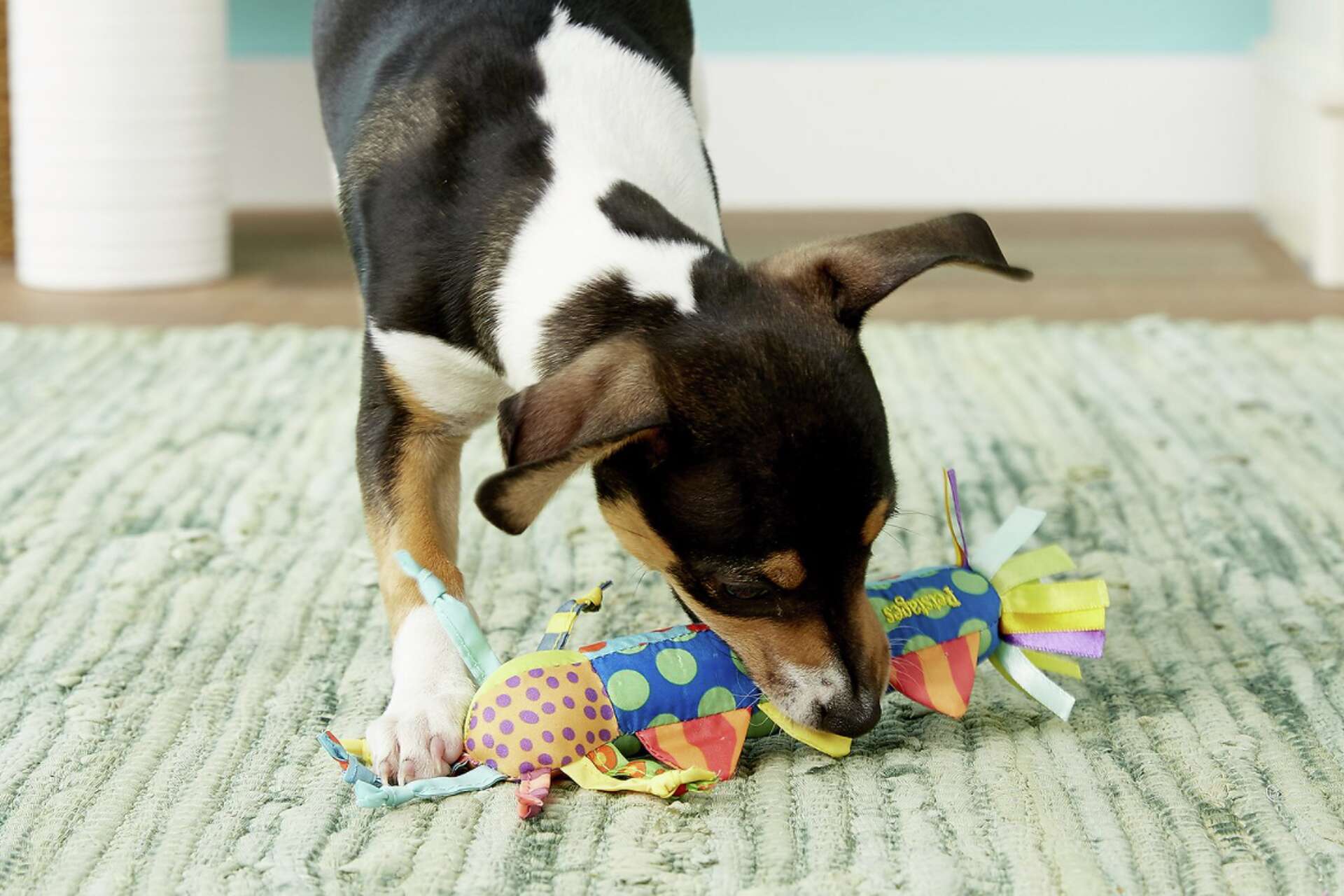Chew Toys for Strong Jaws