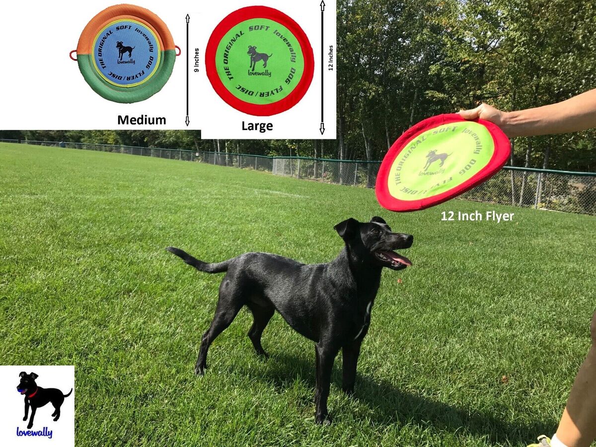 Indestructible Flying Discs