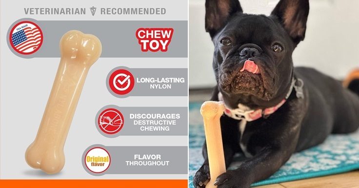 Nylabone Power Chew