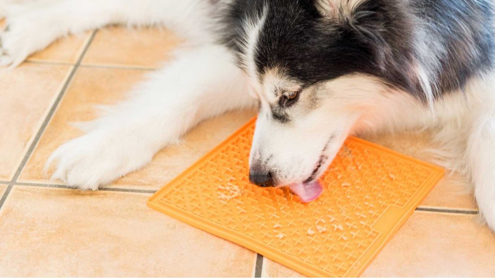 Snuffle Mats & Lick Mats